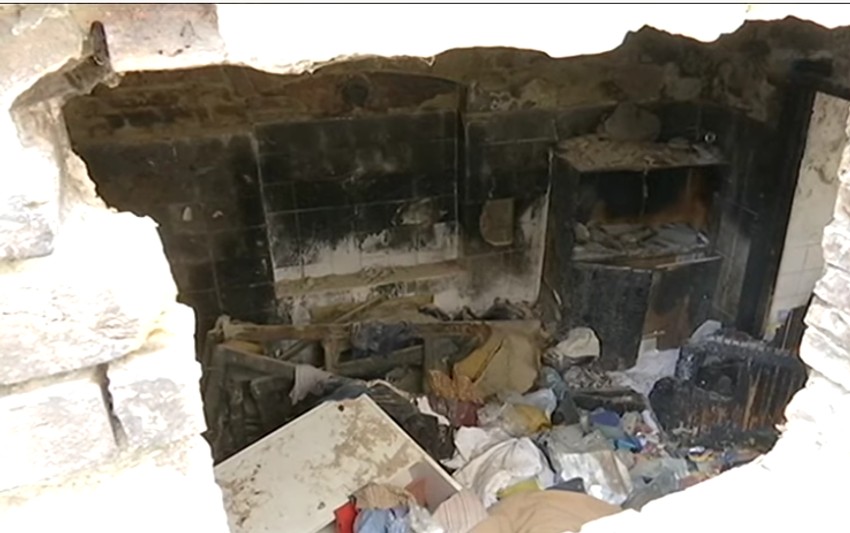 Ovo je dom nekih od Savinih "štićenika"