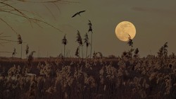 Kiedy zaczyna się astronomiczna jesień 2025? Na niebie szykuje się widowisko