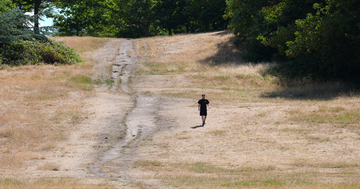Climate change killed 1,147 in UK summer heat, scientists confirm