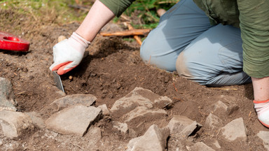 Prehistoryczna bitwa na dnie oceanu. Wszystko zachowały skamieniałości