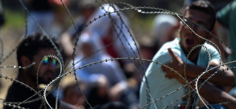 Węgierski rząd użyje armii do ochrony przed imigrantami?