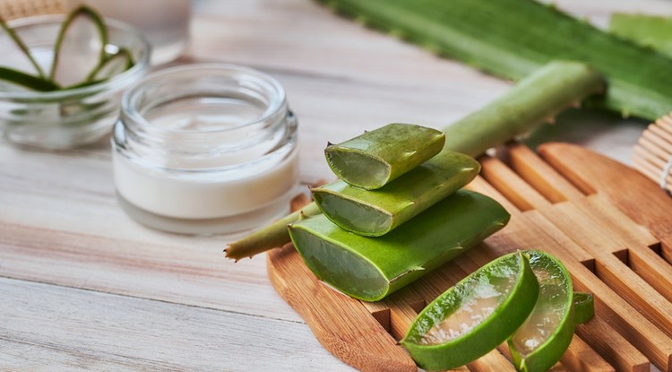 Aloe Vera diéta Fotó: Getty Images