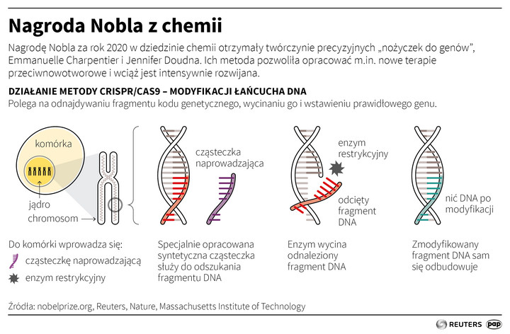 CRISPR - na czym polegają "nożyczki do genów"?