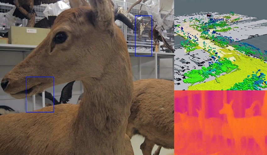 Dejan Marković, "Oblici stvari pred mojim očima" 