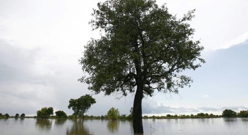 Bagre Dam is located on the White Volta river (pictured in 2007) that begins in Burkina Faso and which converges with the Black Volta downstream and feeds into Lake Volta in southern Ghana