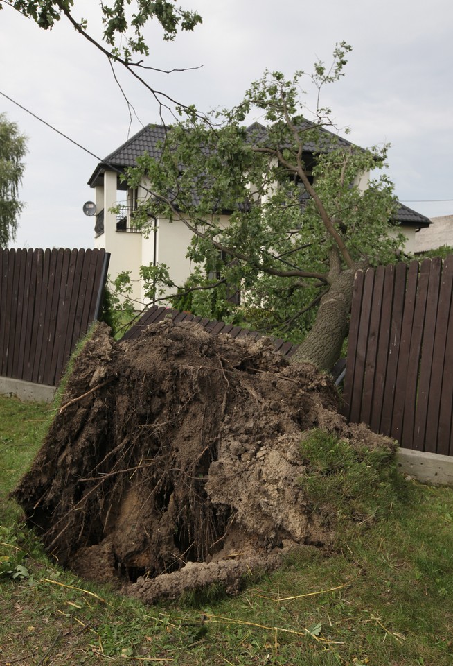 LASKÓW NAWAŁNICA ZNISZCZENIA