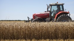 Rolnicy w Polsce od młodego są przyuczani do kombinowania