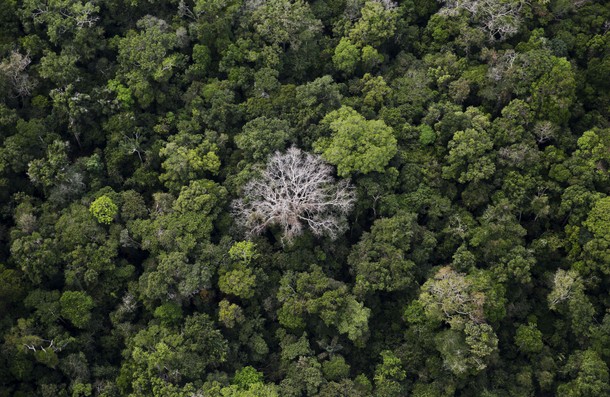 The Wider Image: Earthprints: Rio Pardo