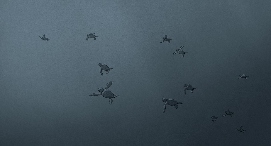 RT-013a-0880-Icom-151204