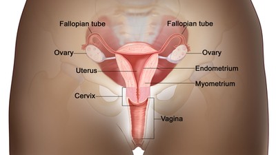 Why no woman should die from Cervical Cancer. [cancer]