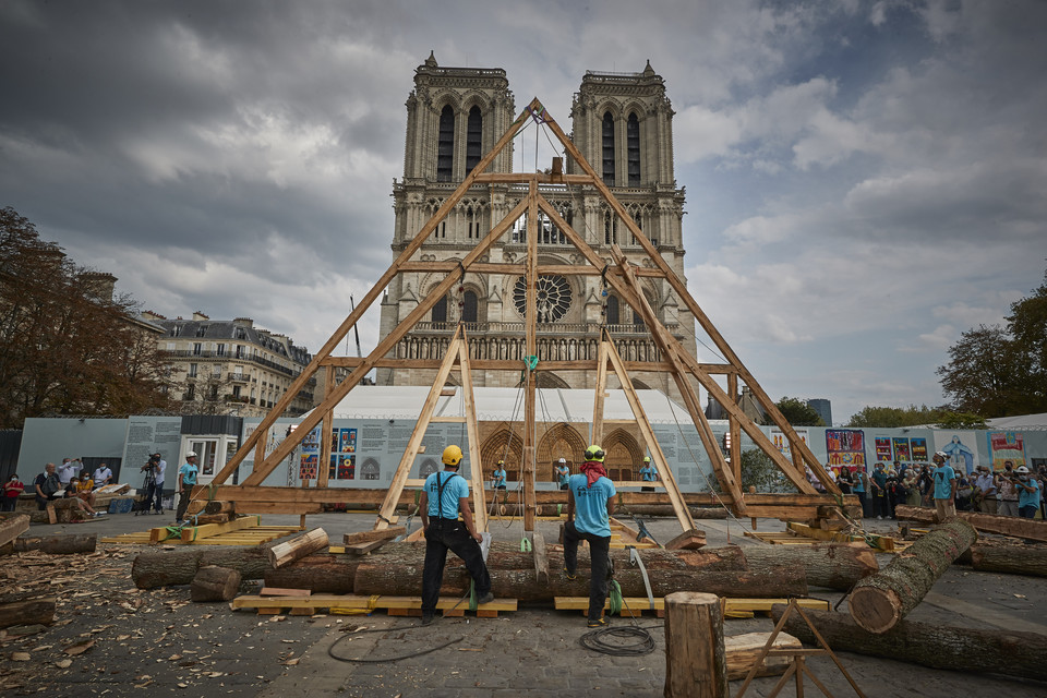 Odbudowa katedry Notre Dame w Paryżu: proces tworzenia drewnianej konstrukcji 