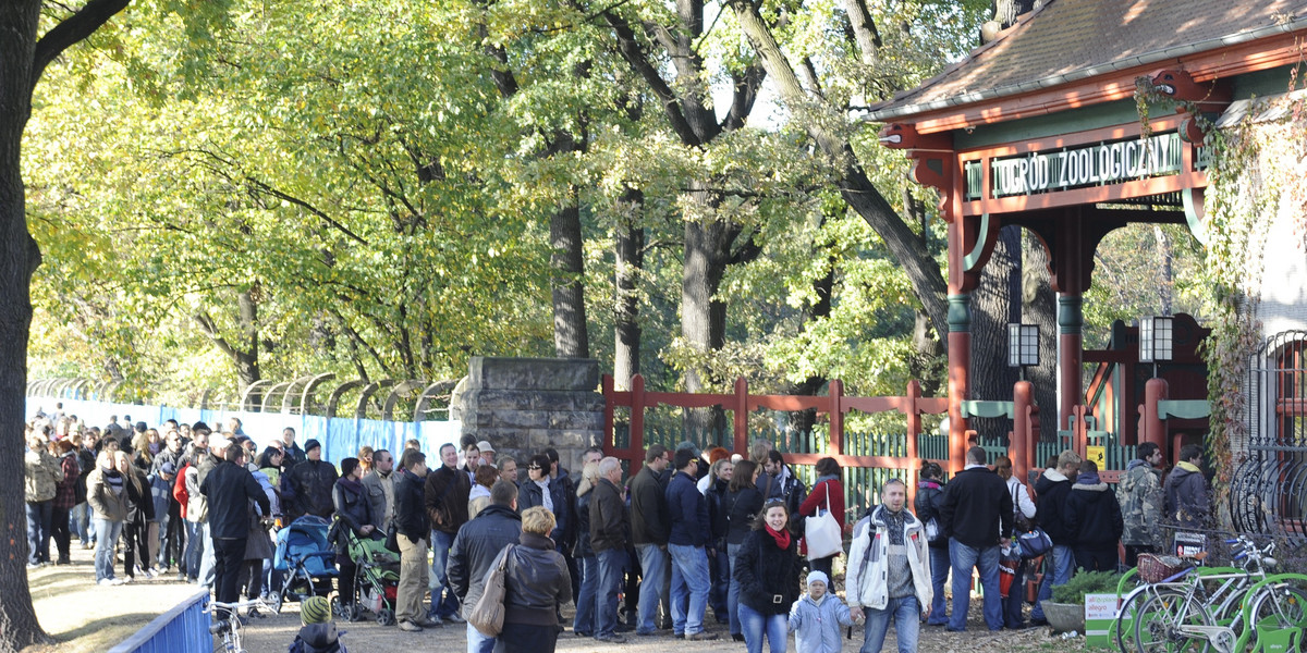 Kolejki do kas we Wrocławskim zoo