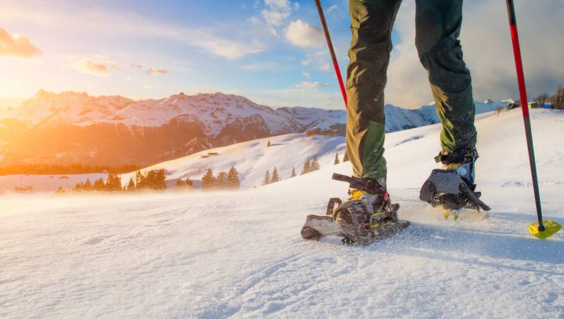 Wandern im Schnee: Beliebte Schneeschuhe im Vergleich
