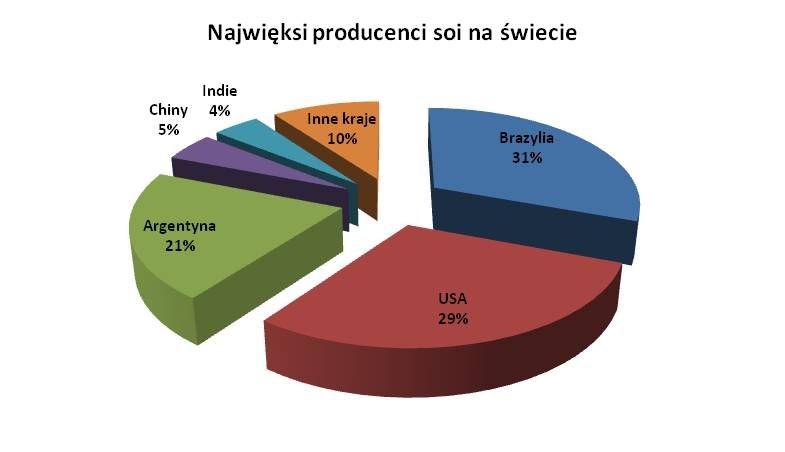 Najwięksi producenci soi na świecie