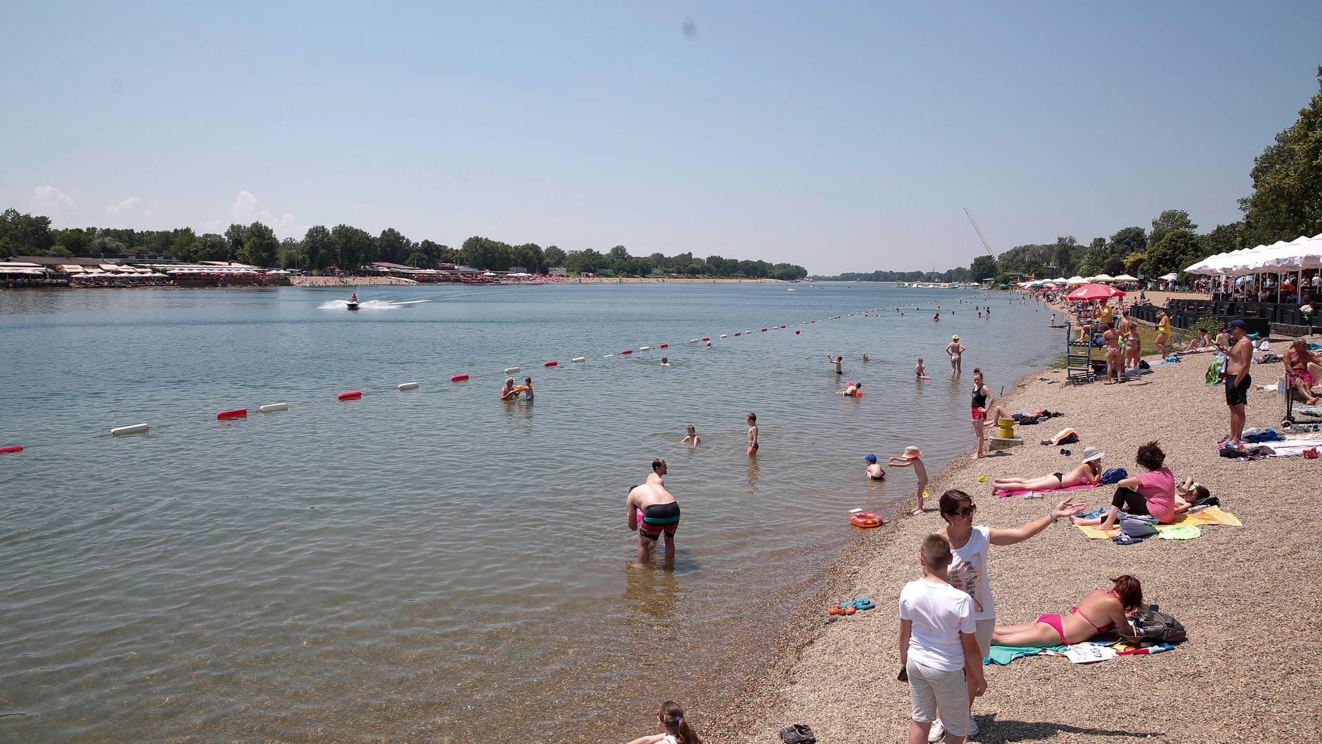 45 godina se kupam ovde i ništa slično nisam video - Beograđani u čudu šta to pliva u Adi Ciganliji 