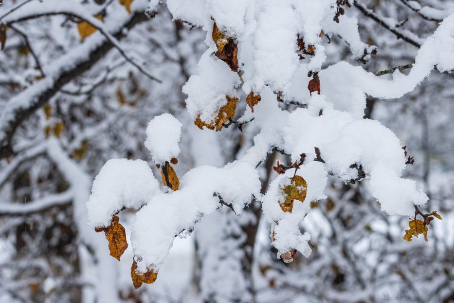 Időjárás: Újra itt a tél - fotó: Shutterstock