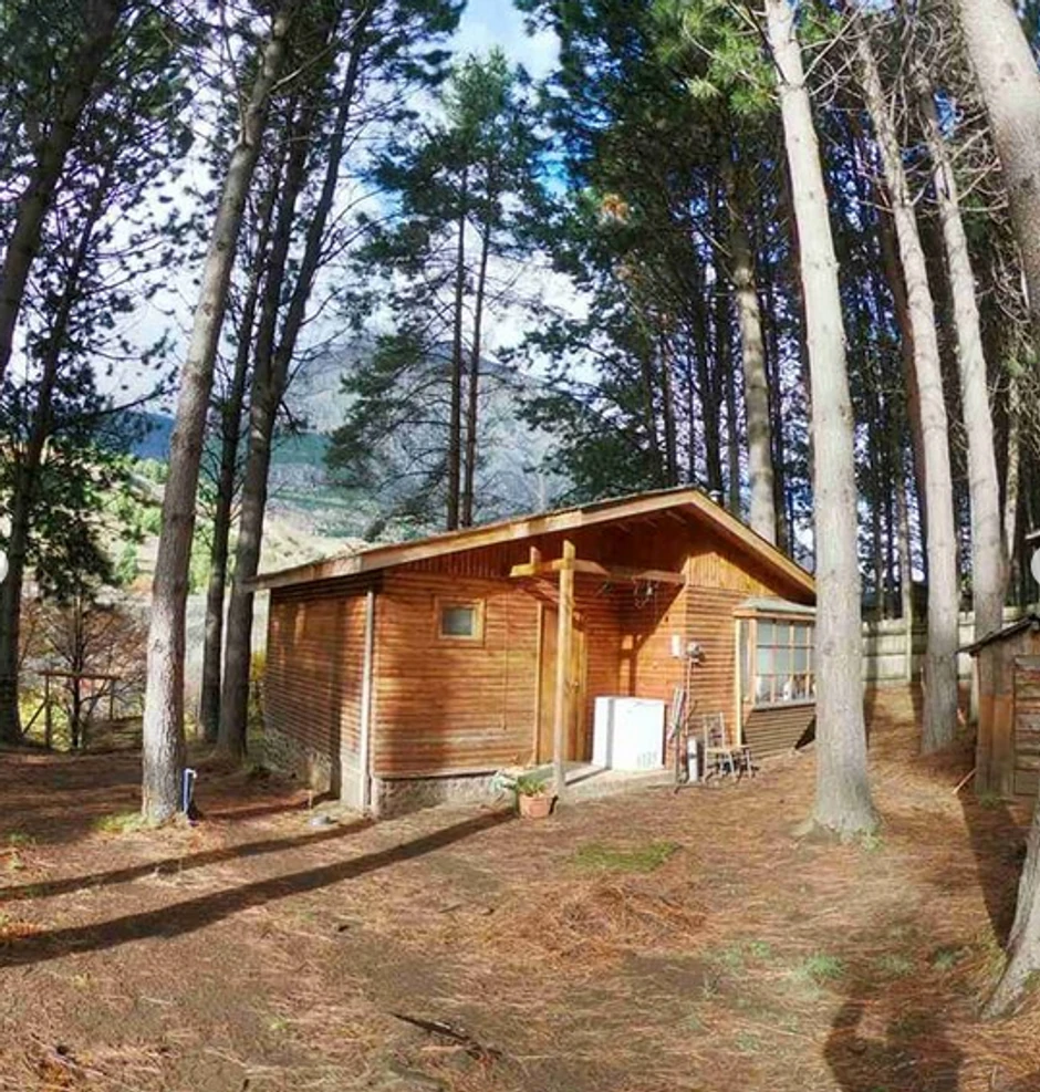 Kolibica u šumi gde je Snežana mesecima boravila zbog korone