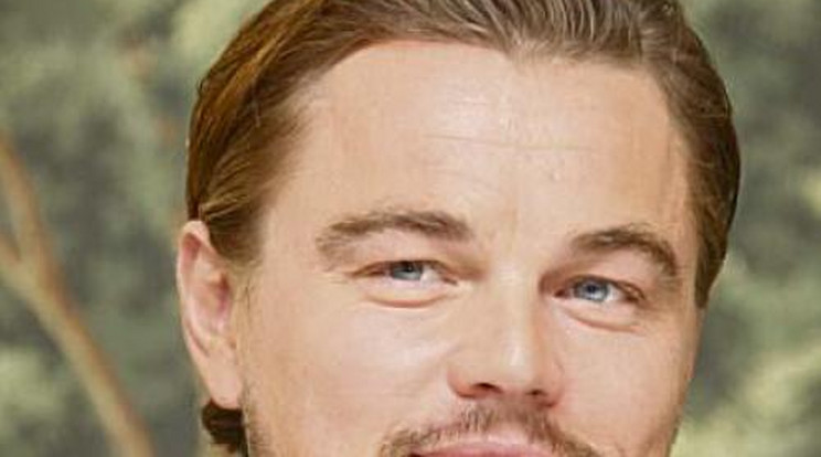 DiCaprio a legnagyobb műgyűjtők között