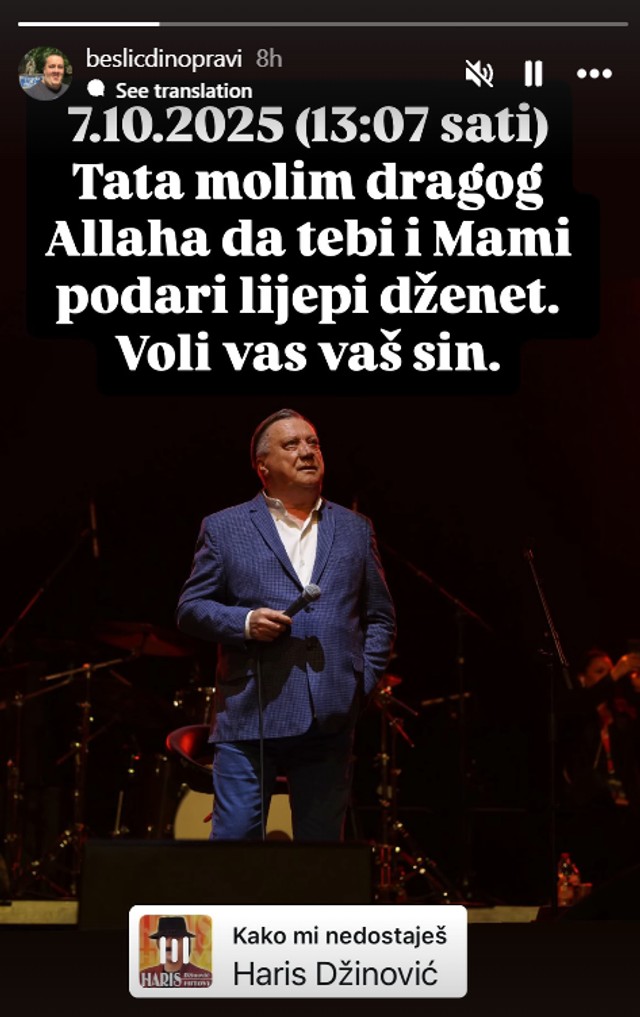 Sin Halida Bešlića