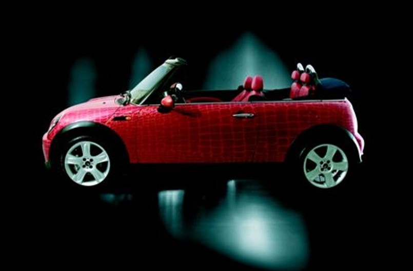 Znany fotograf mody projektuje mini