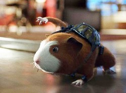 Świńska Załoga G... uuuzik warta