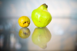 Zachwycała naszych przodków, teraz znów jest w modzie. Jak zrobić nalewkę z pigwy? [PRZEPIS]