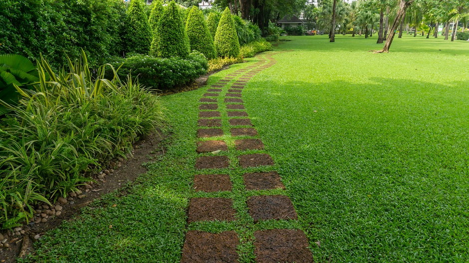 Zadbany trawnik w ogrodzie/shutterstock/aimful