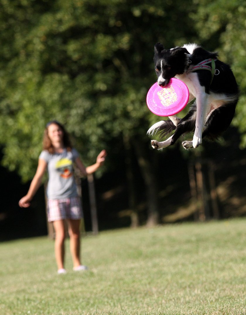 Ewa Kiryk ćwiczy dog frisbee