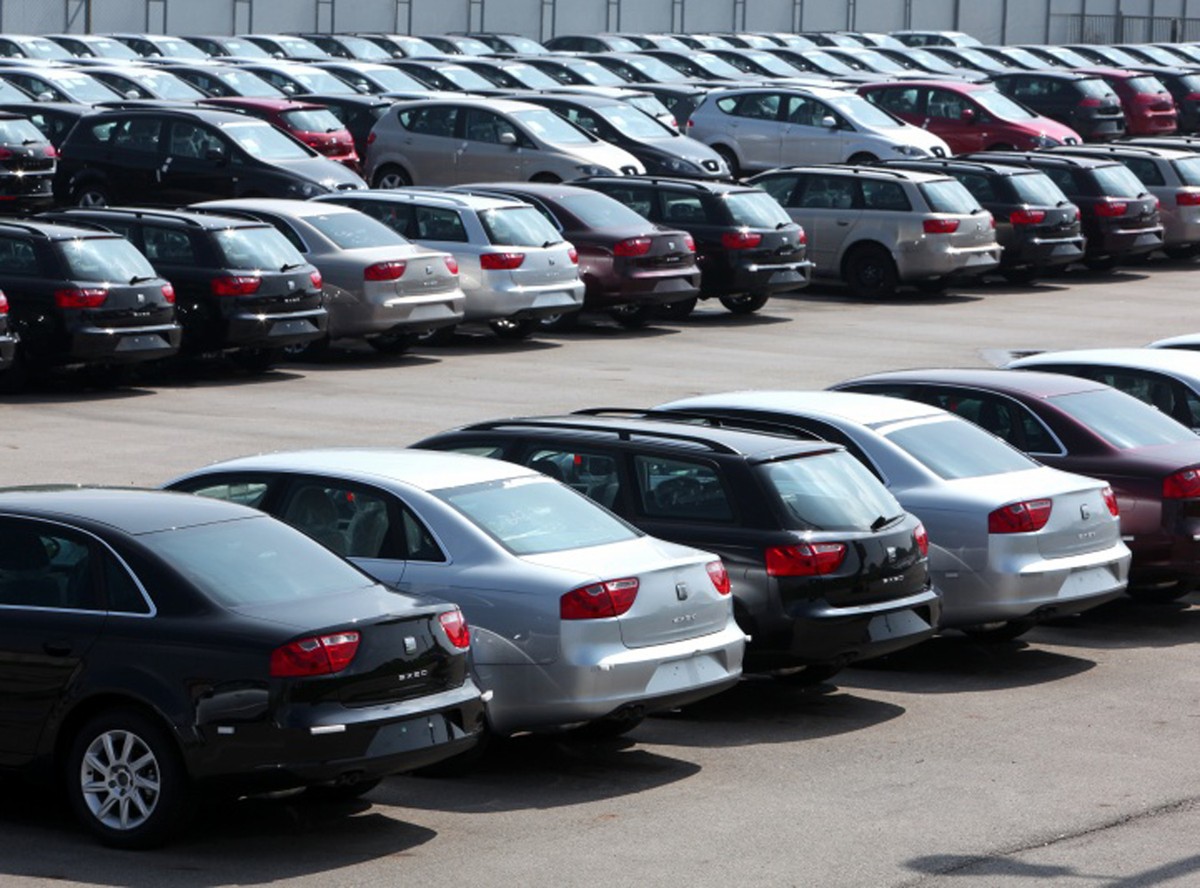 Zobacz, gdzie kupić auto, żeby nie zostać jeleniem