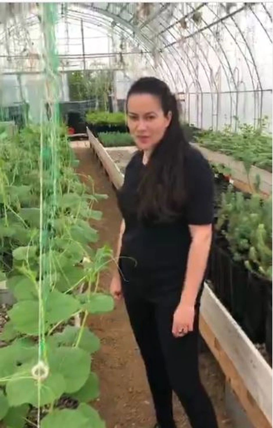 Marija Petronijević