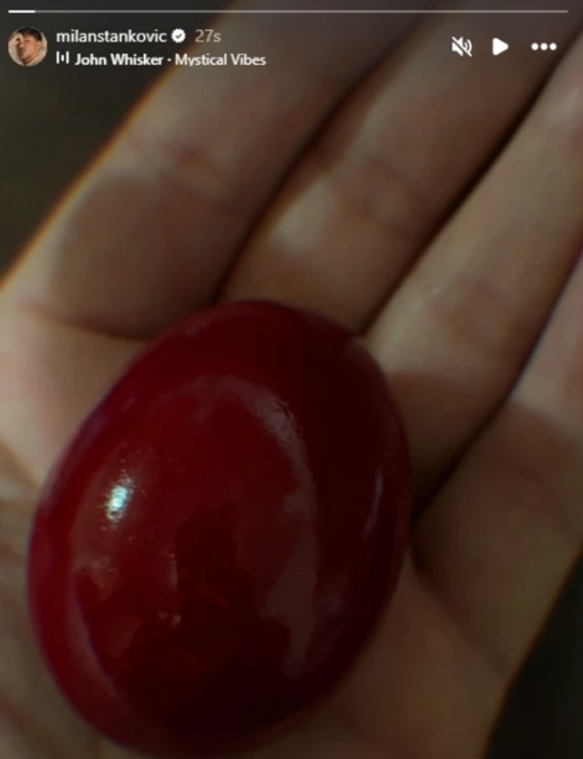 Milan Stanković se oglasio na Veliki petak