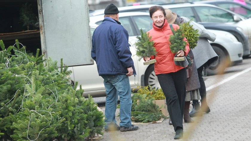 Barbara Sienkiewicz z choinkami