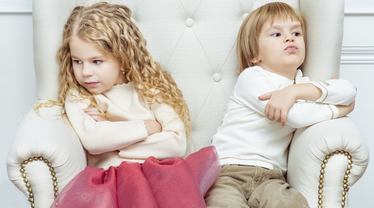 A gyermekek úgy gondolják, hogy meg kell küzdeniük a családon belüli szerepükért /Fotó: Europress Thinkstock