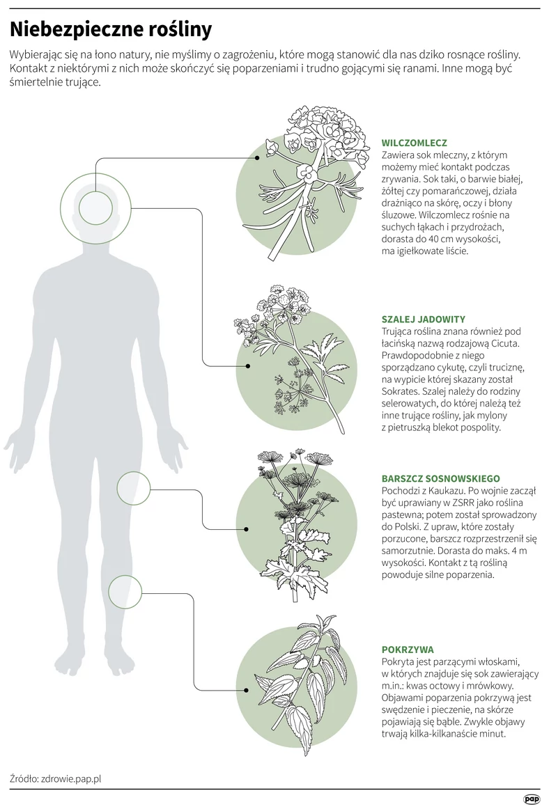 Niebezpieczne rośliny