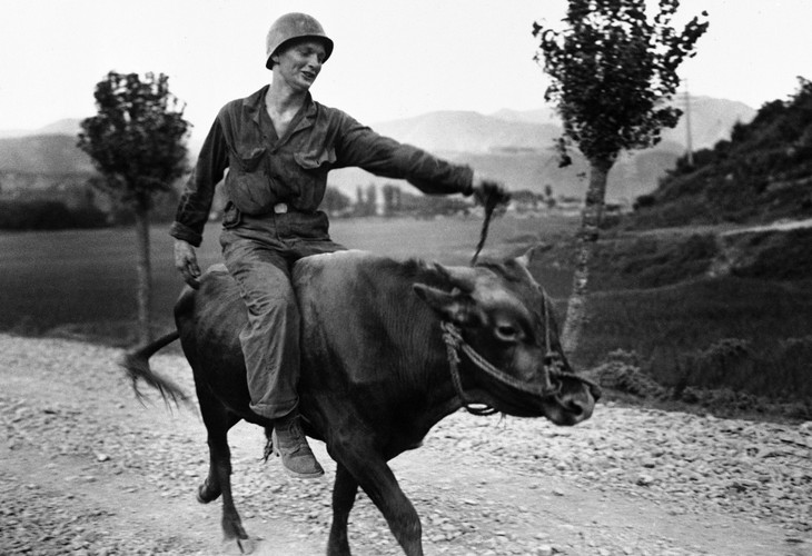 Wojna koreańska 1950-1953