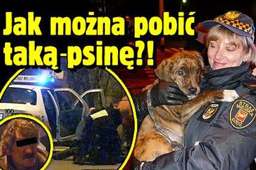 Jak można pobić taką psinę?