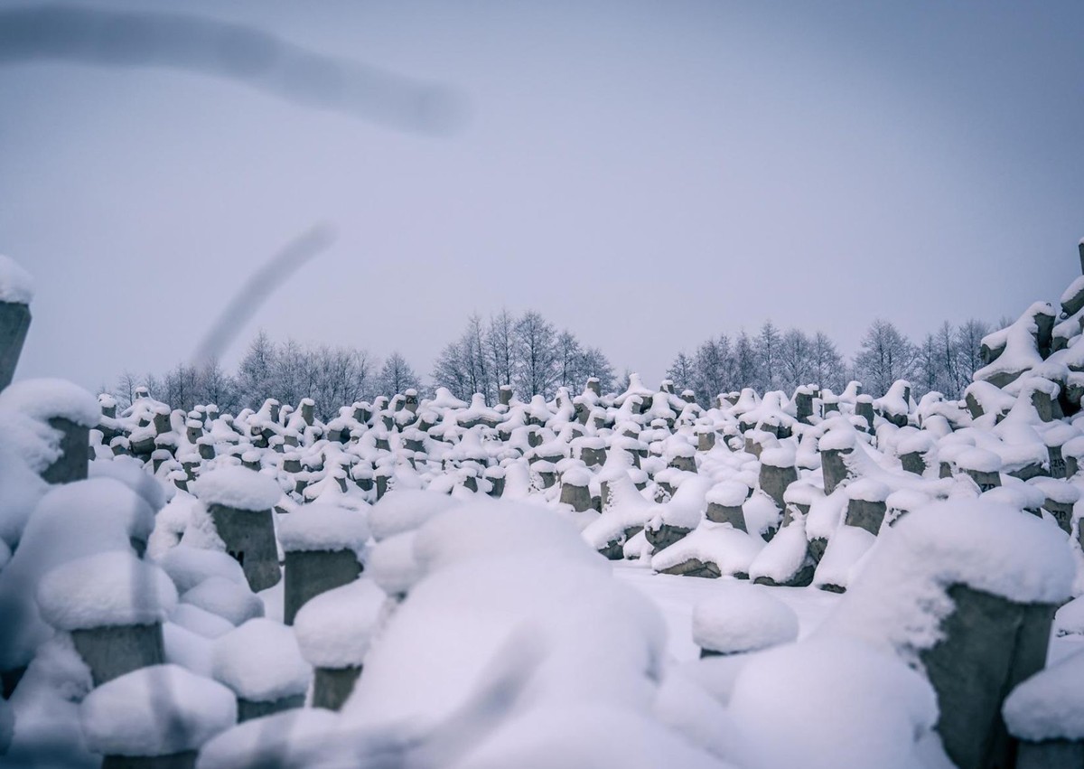 Wzmożone ruchy wojska przy granicy z Rosją. Polska odgradza się potężną zaporą