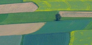 Inwestycje budowlane na gruntach rolnych i leśnych - mniej restrykcji, więcej swobody