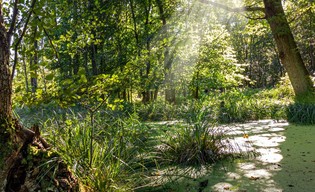 Niezgoda. Miejsce, gdzie człowiek i natura żyją w pełnej harmonii