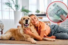 Pies kosztuje? Nie wszędzie. Sprawdź, kto zapłaci opłatę w 2026 roku