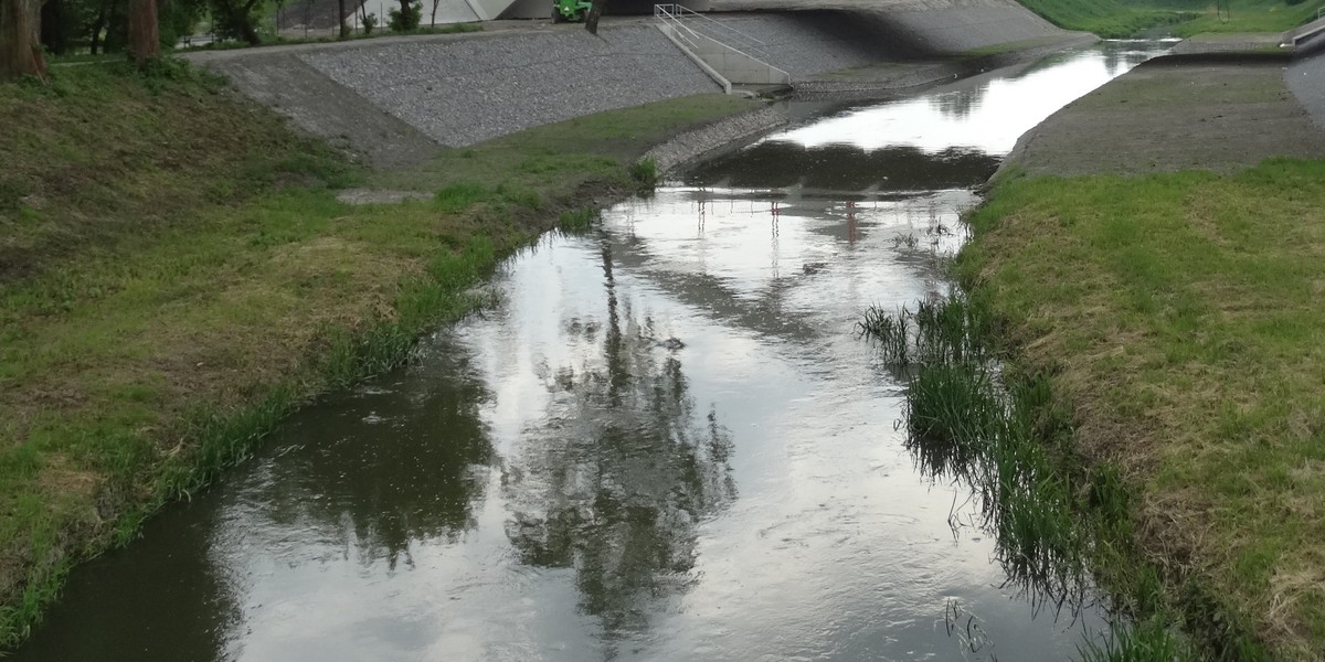 Nad Bystrzycą w Lublinie odnaleziono zwłoki kobiety. 