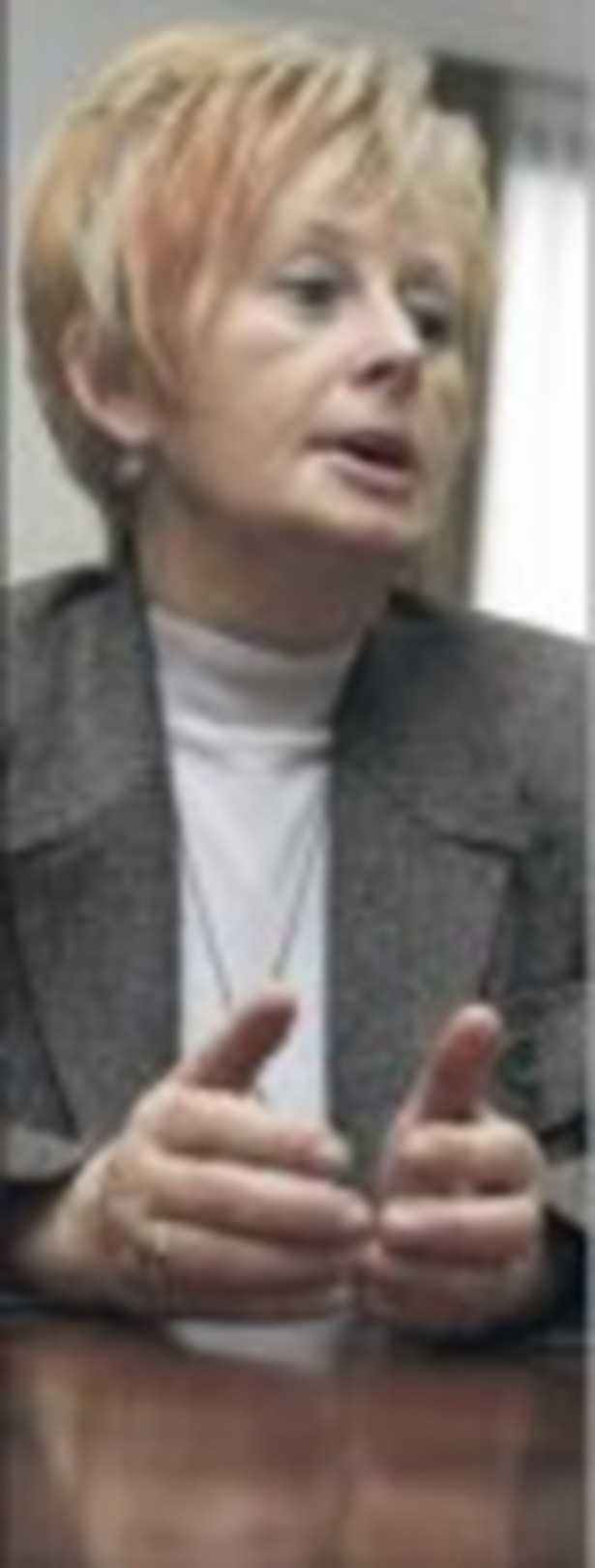 Elżbieta Suchocka-Roguska, wiceminister finansów