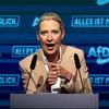 Alis Vajdel