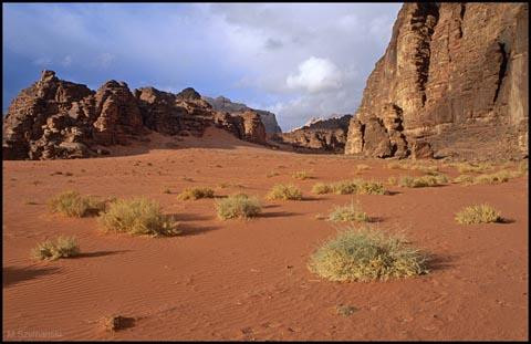 Galeria Jordania - pustynna przygoda, obrazek 22