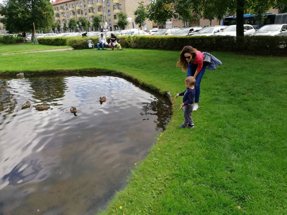 Porodica Miljković se polako navikava na Švedsku