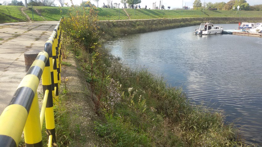 Divlje rastinje na obaloutvrdi