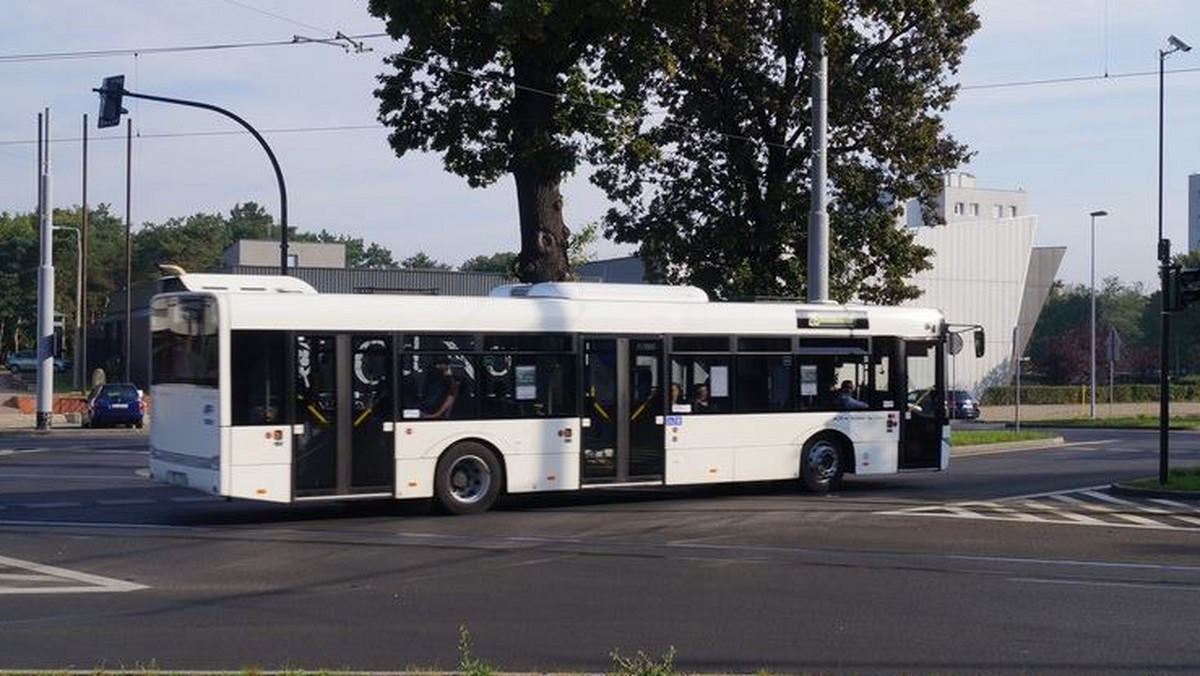 Wkrótce na autobusach miejskich w Toruniu pojawią się karykatury mieszkańców. W ten oryginalny sposób MZK chce wypromować usługi reklamowe na swoich pojazdach.
