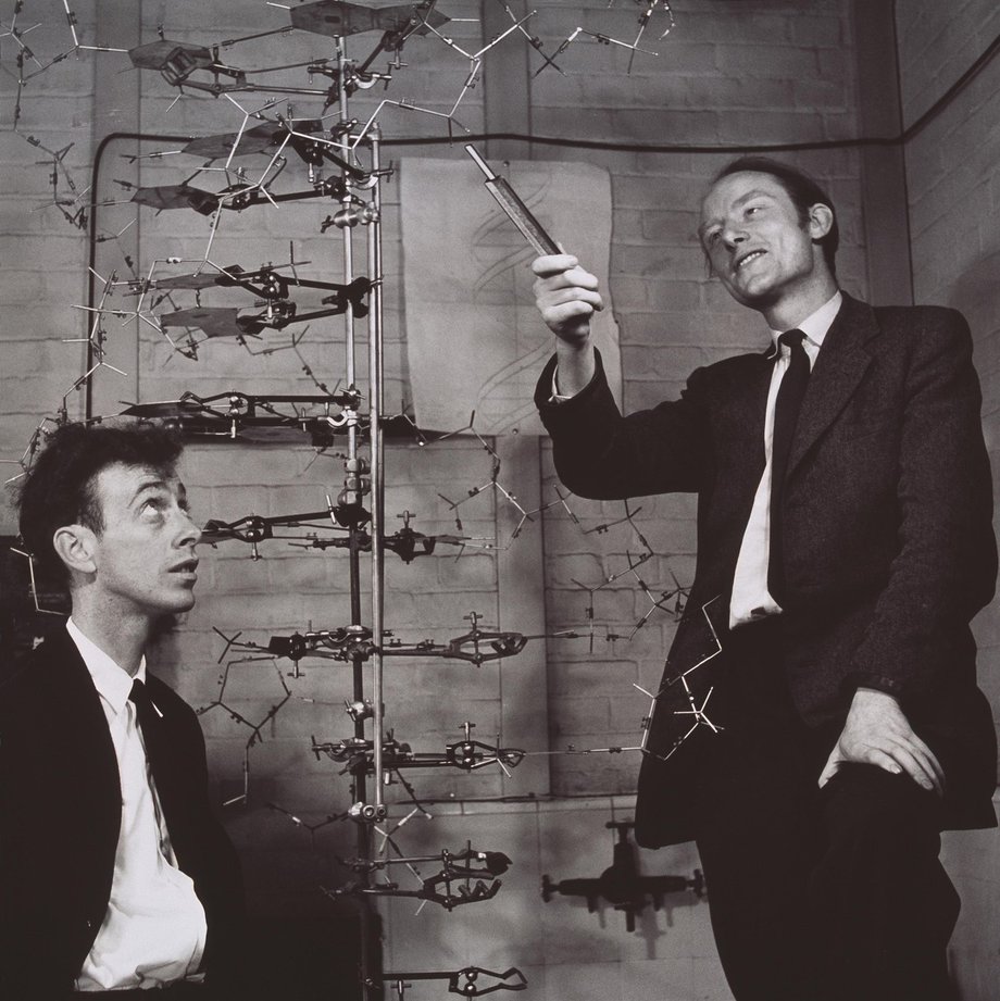 James Watson (z prawej) i Francis Crick przy swoim modelu DNA