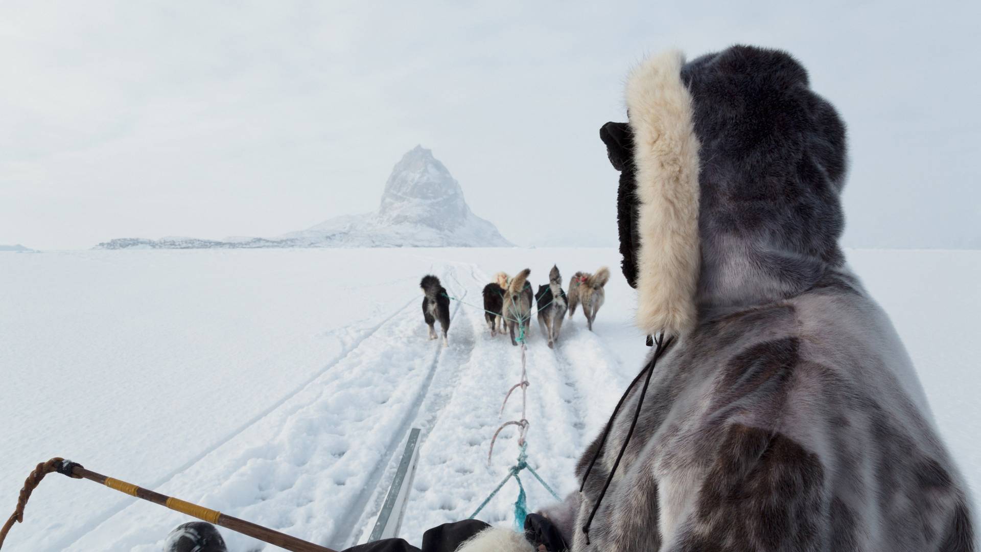 Prelepa i duboko uznemirujuća fotografija s Grenlanda pokazuje kuda ide ovaj svet