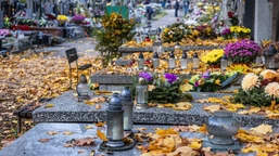 prawo do miejsca na cmentarzu. czy wiesz, że prawo do grobu wygasa a s